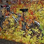 Lägenhet 1,399 Sq Ft Historic Landmark, Checkpoint Charlie Berlin